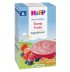 Hipp Млечна каша горски плодове